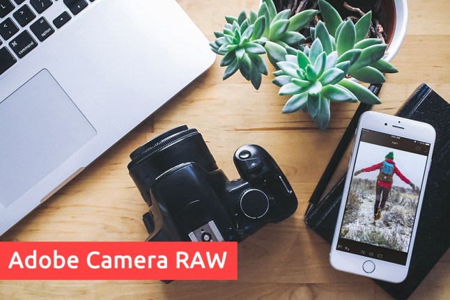 plugin camera raw